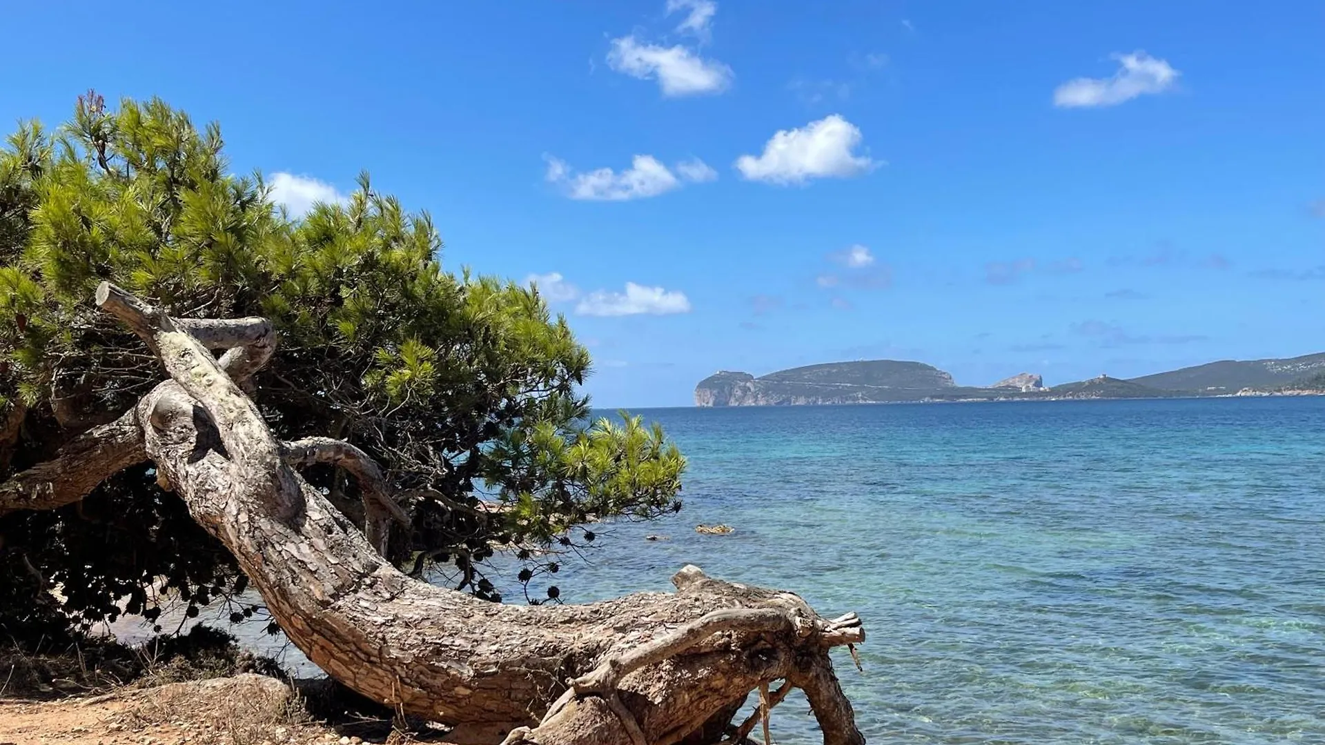 Pa Blanc Apartments Alghero إيطاليا
